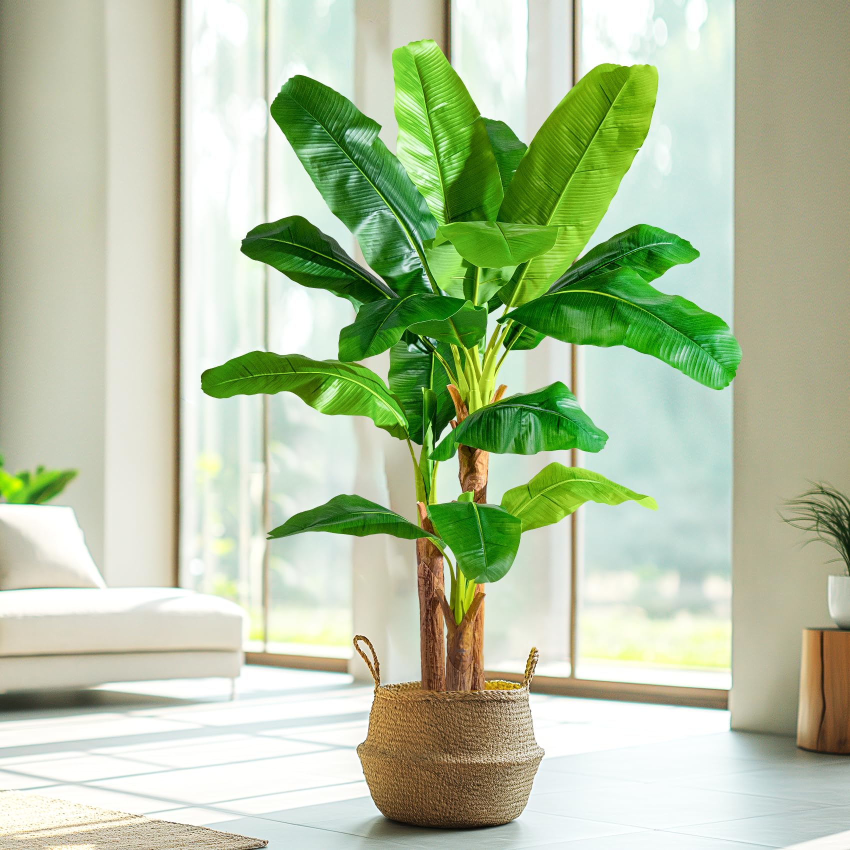 Maintenance-free Erimda banana tree supports year-round tropical ambiance