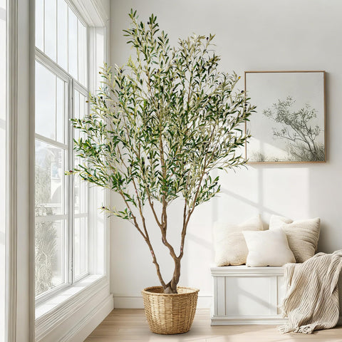 Erimda weighted pot with moss base provides stable, ready-to-display setup.
