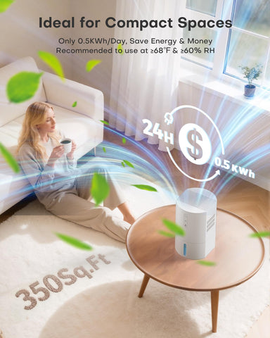 Erizolt bathroom/kitchen dehumidifier handles moisture in small spaces