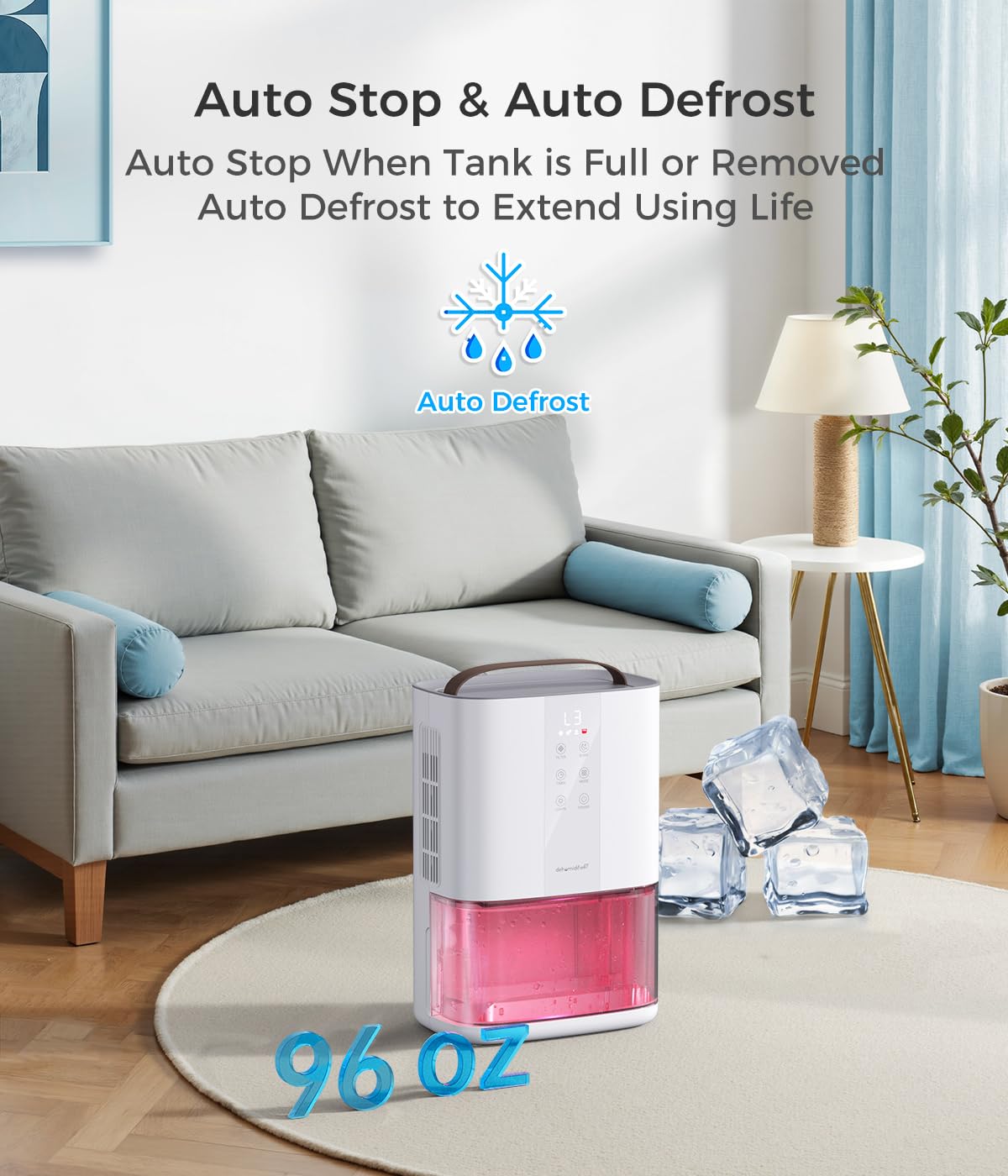 Erizolt auto negative ions system minimizes damp smells.