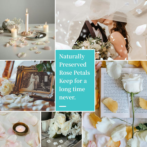 Eslibin real ivory rose petals for reusable, biodegradable decor options.