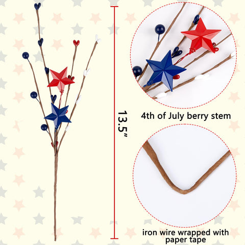 Eternity Sky small iron star complements berry stems.