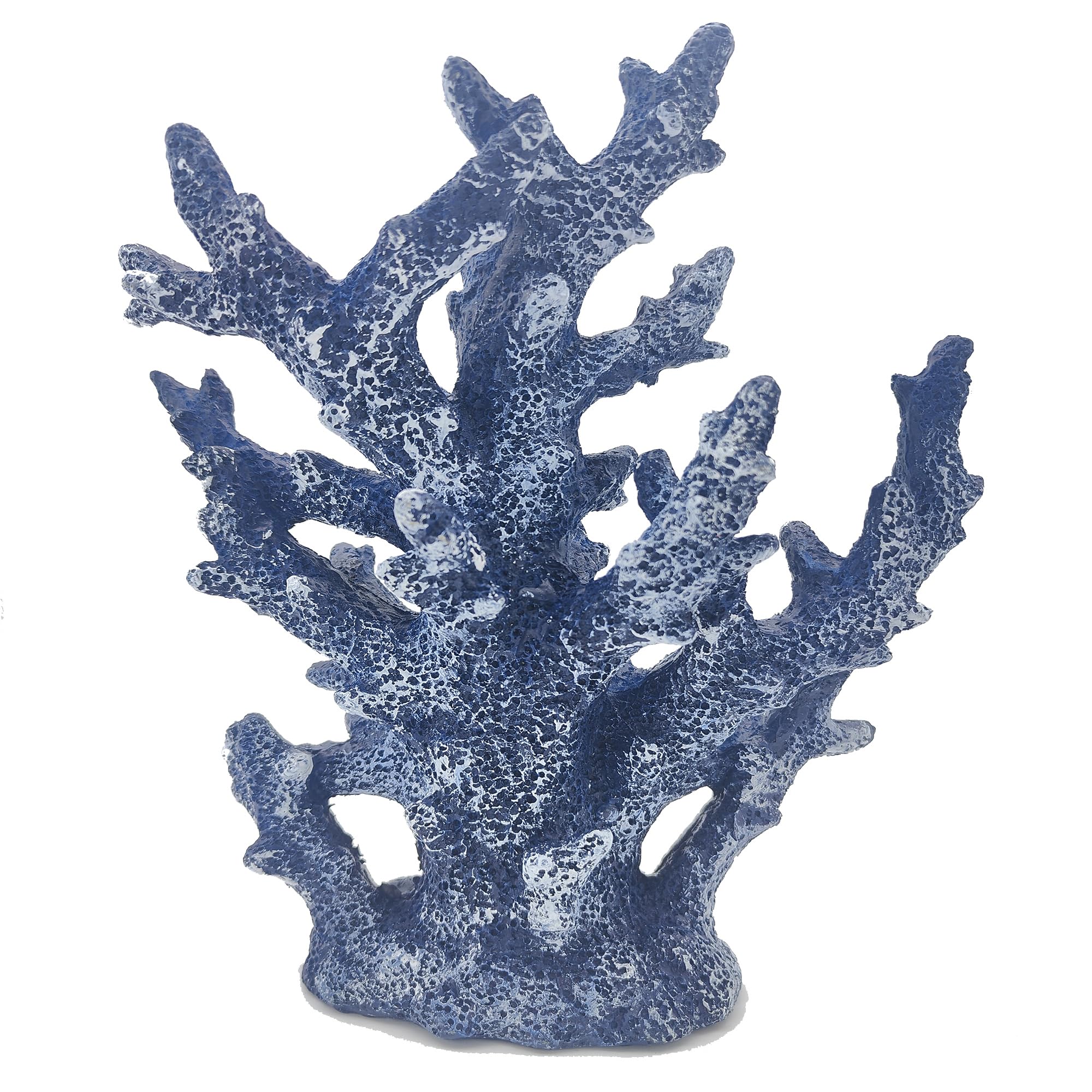 Etlemonde beach coastal decor coral detail for nautical rooms