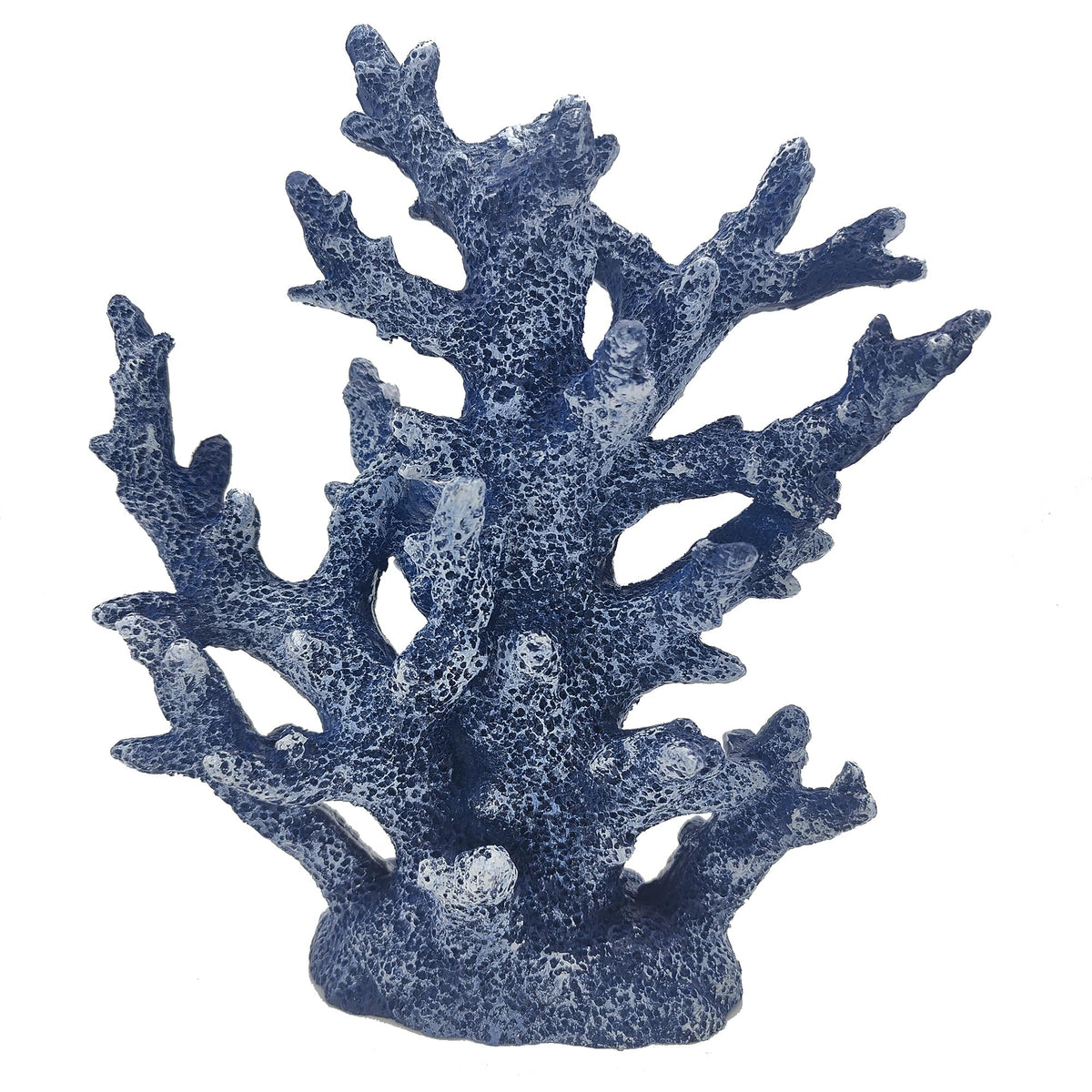 Etlemonde coral reef sculpture adds coastal charm to living spaces