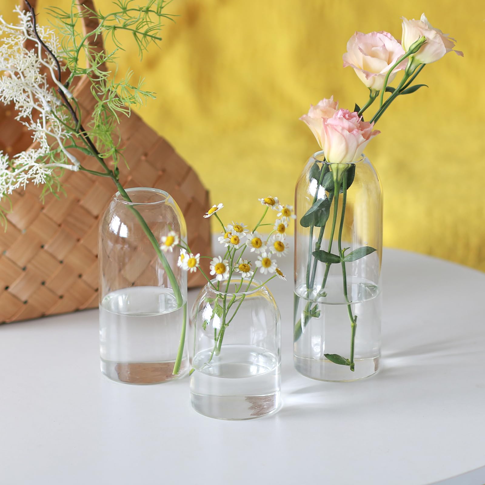 Etolies glass vase suitable for aromatherapy oils and diffusers