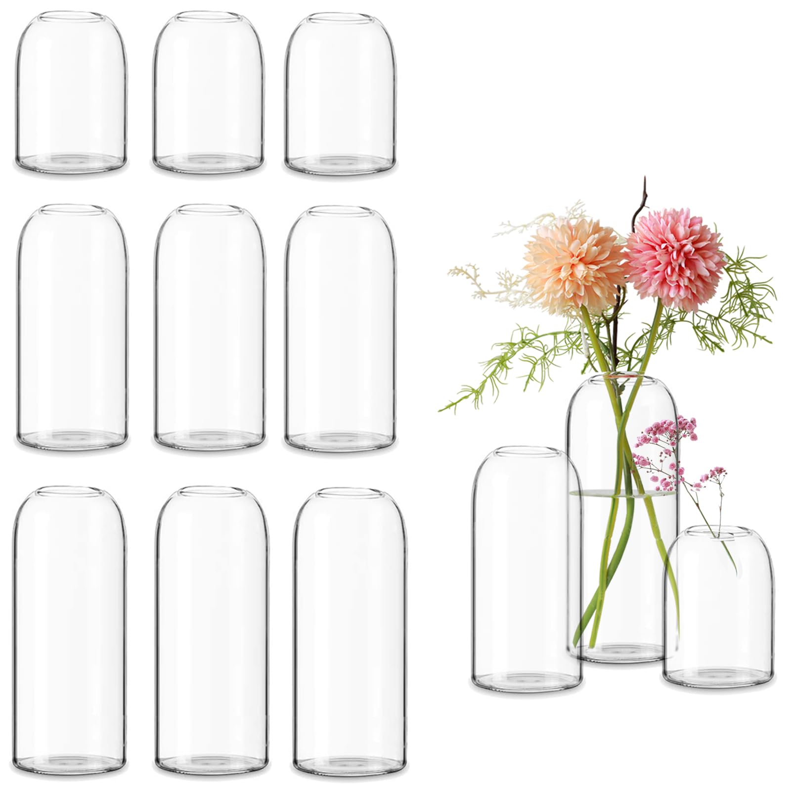 Etolies bud vase with clear glass and smooth rim for safe handling