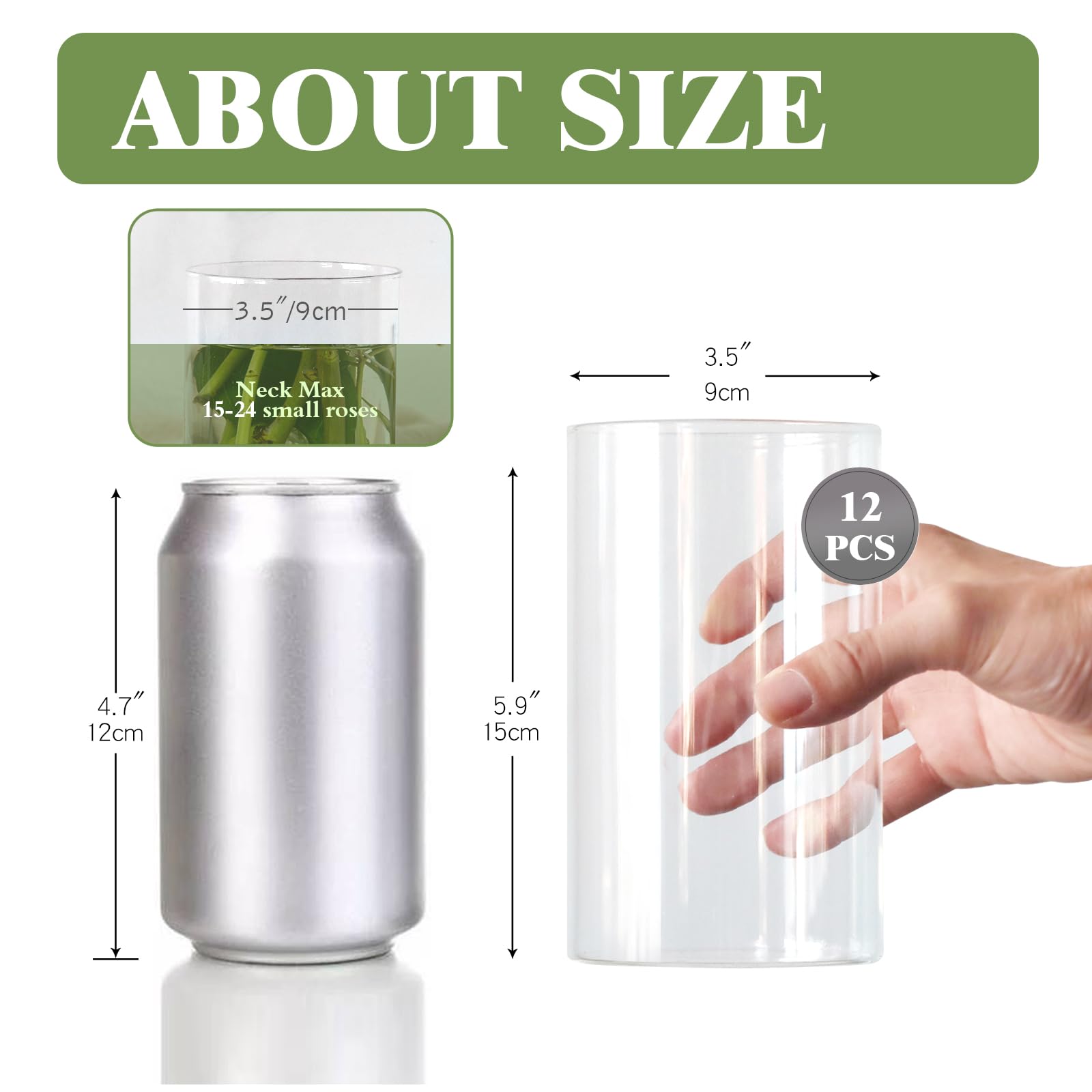 Etolies clear bud vases 6 inch perfect for compact floral arrangements