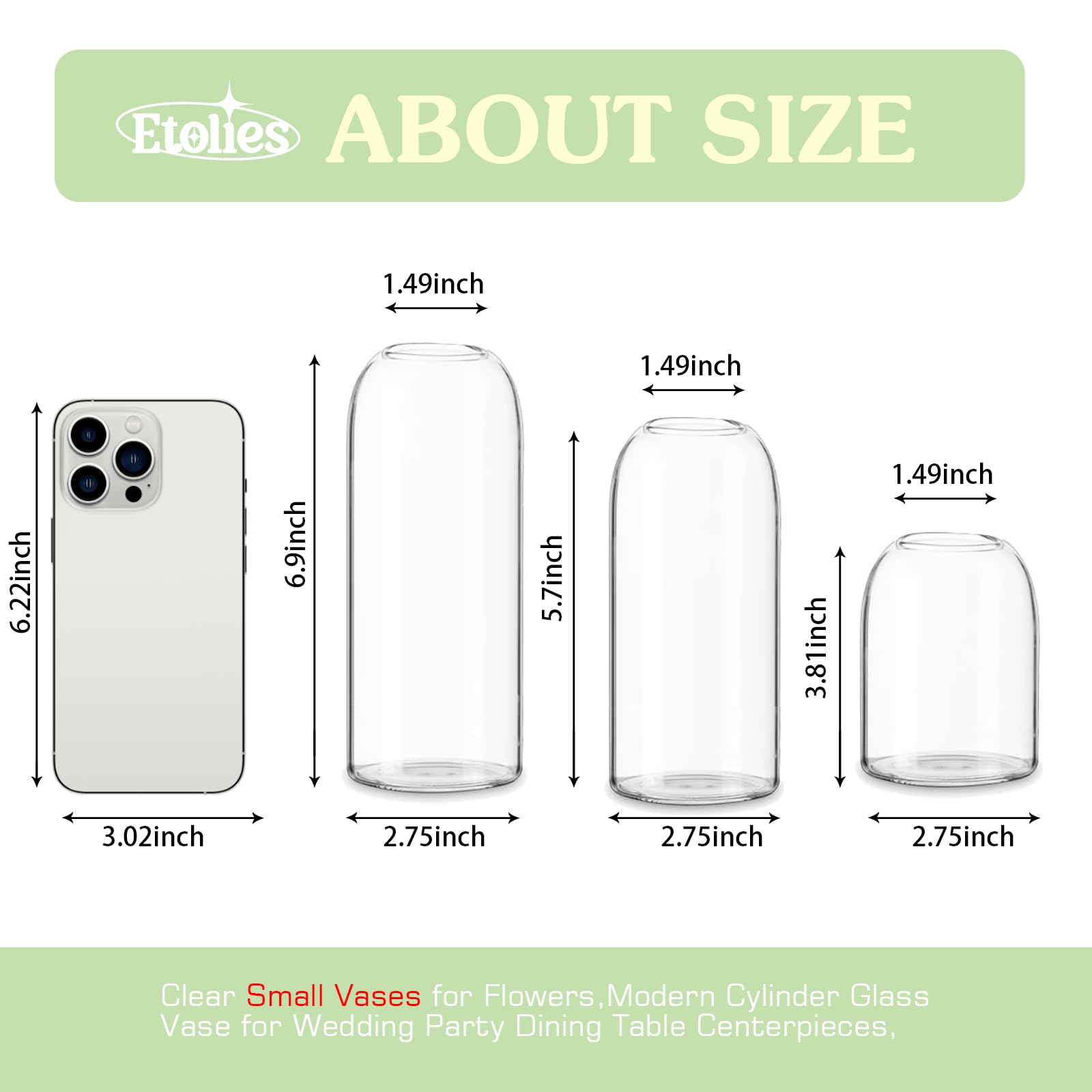 Etolies glass vase narrow mouth aids effortless flower arrangement