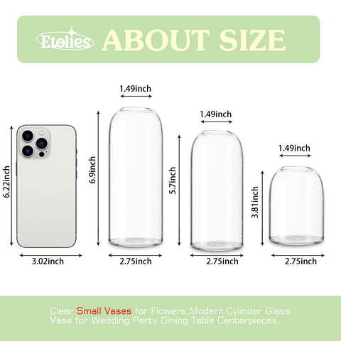 Etolies glass vase narrow mouth aids effortless flower arrangement