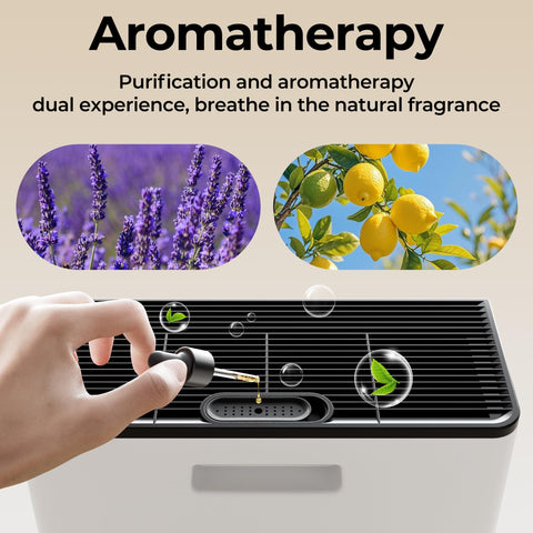 Three-speed settings on Evalit air purifier for different needs.