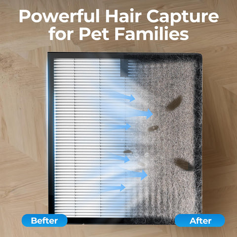Evalit ET066 pet mode cleans air around pets in a bright room.