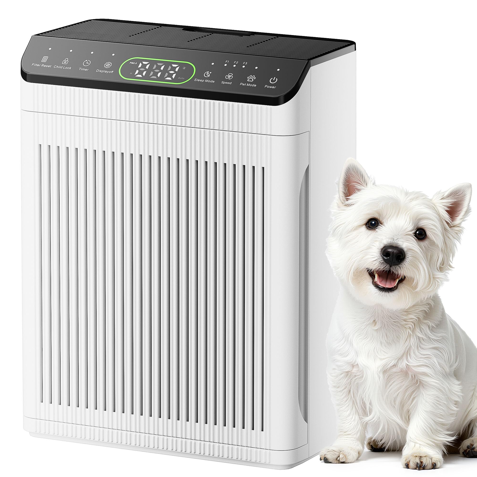 Evalit air purifier shows 2200 ft² coverage in a spacious living room.