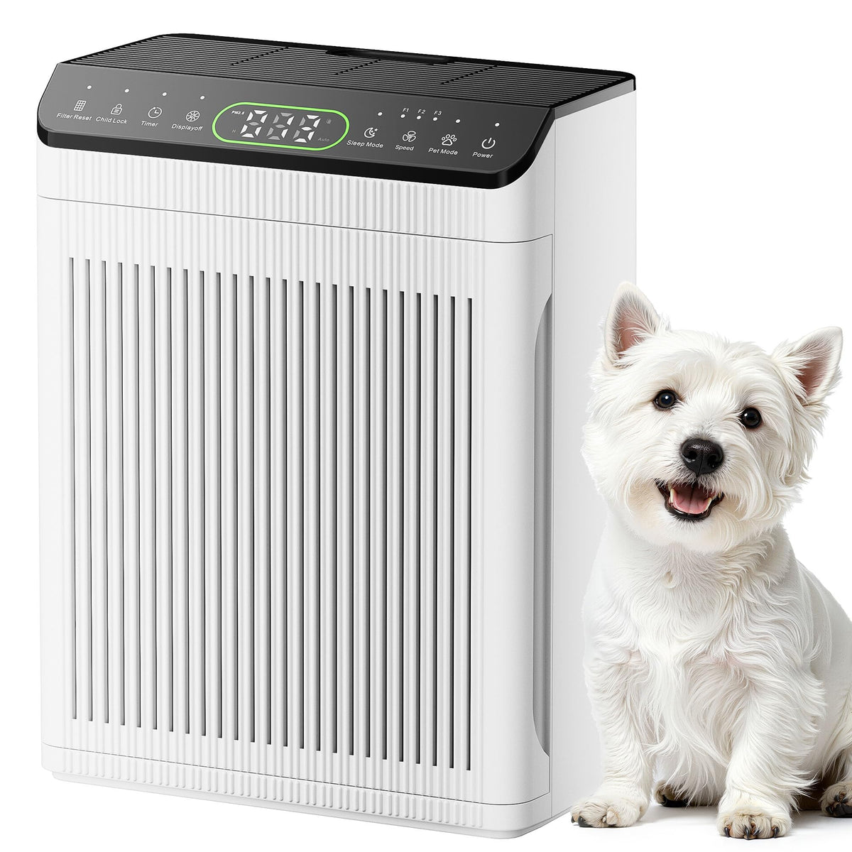 Evalit air purifier shows 2200 ft² coverage in a spacious living room.