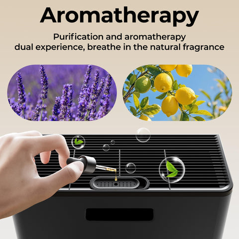Evalit ET066 auto mode automatically adjusts purification speed.