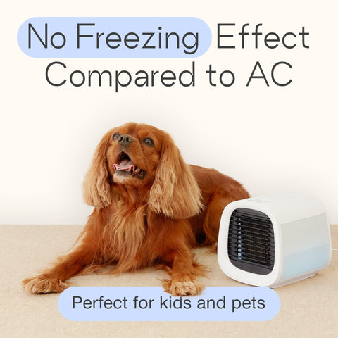 Evapolar evaCHILL 3in1 cooling and humidifying in action for comfort.