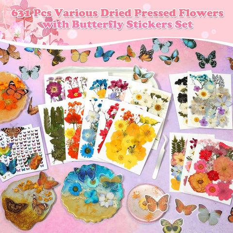 Evatage dried flowers assortment with varied shapes for scrapbooks
