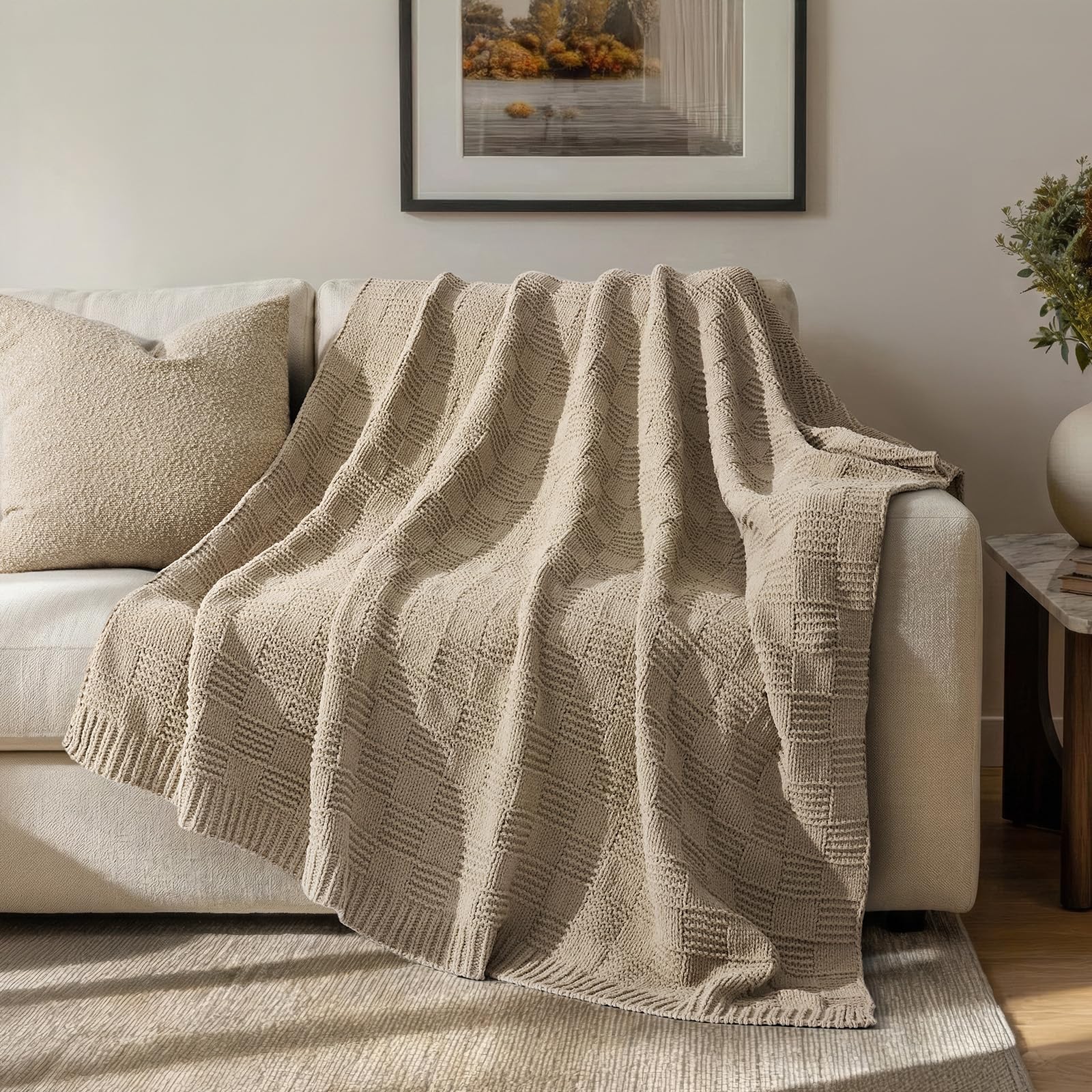 EVERGRACEHOME modern checkered chenille throw Sand Dune adds luxurious warmth to living room decor