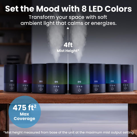 Everlasting Comfort LED light colors setting creates mood and focus in spaces.