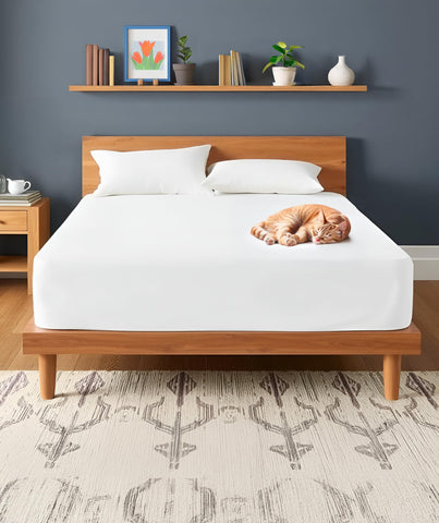 Everlasting Comfort protector shown in a dorm room for practical sleep protection.