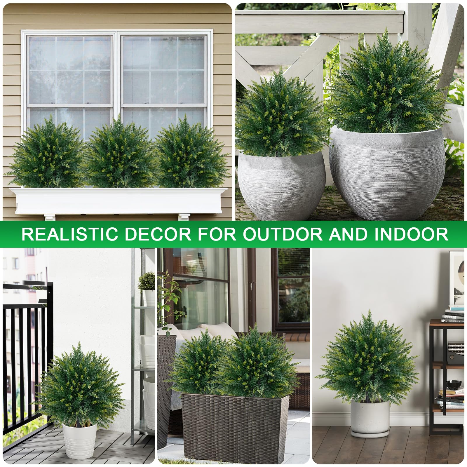 EverNature evergreen shrub suitable for indoor or outdoor corners.
