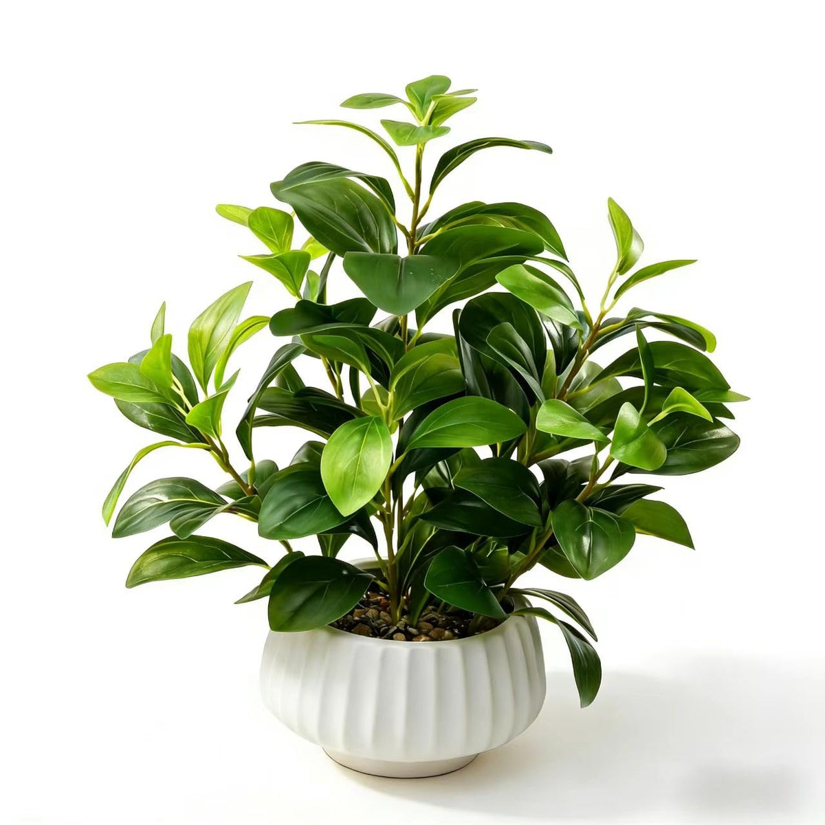 Ewtogift artificial peperomia plant 16.5-inch height for low-maintenance decor