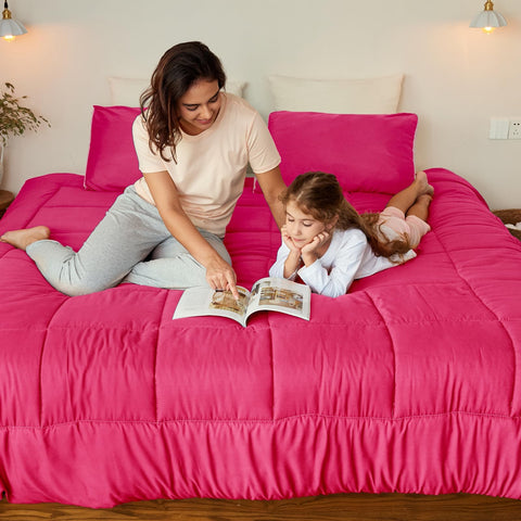 Exclusivo Mezcla pillow sham pair complements coordinated bedding look