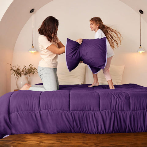 Exclusivo Mezcla two pillow shams paired with the queen bedding set.