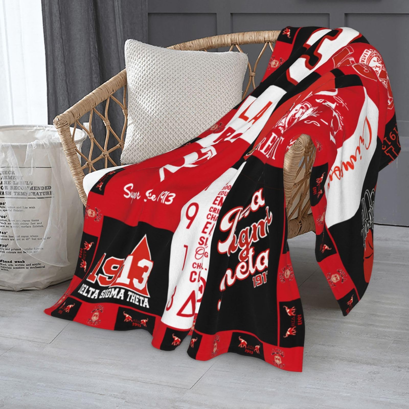 EXOVITRANZ fleece throw 60x50 on couch delivers cozy warmth for movie nights