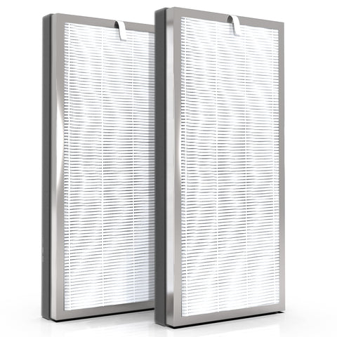EzLfGre MA40 replacement filter, front view, helps refresh room air.