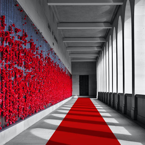 EZLucky wedding aisle usage with elegant entry path