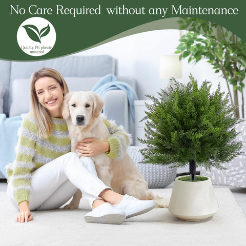 FAJUNZH indoor-outdoor topiary suits living rooms and offices.