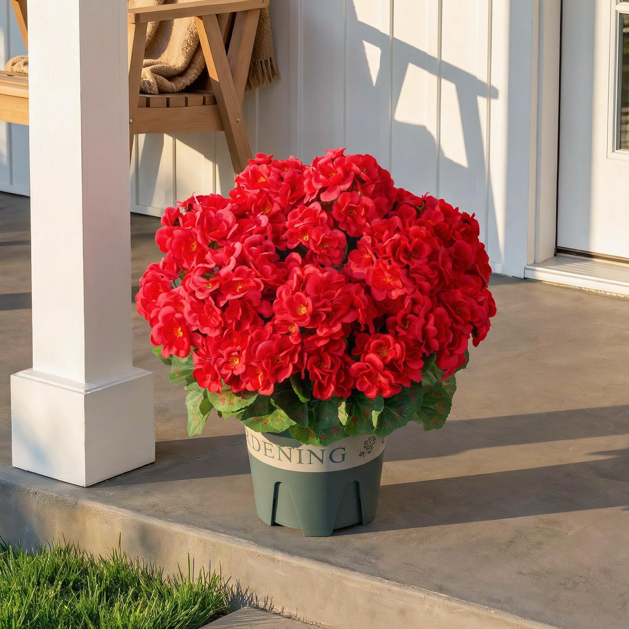 FancyPlus UV-resistant outdoor blooms red, colors stay vibrant in sun.