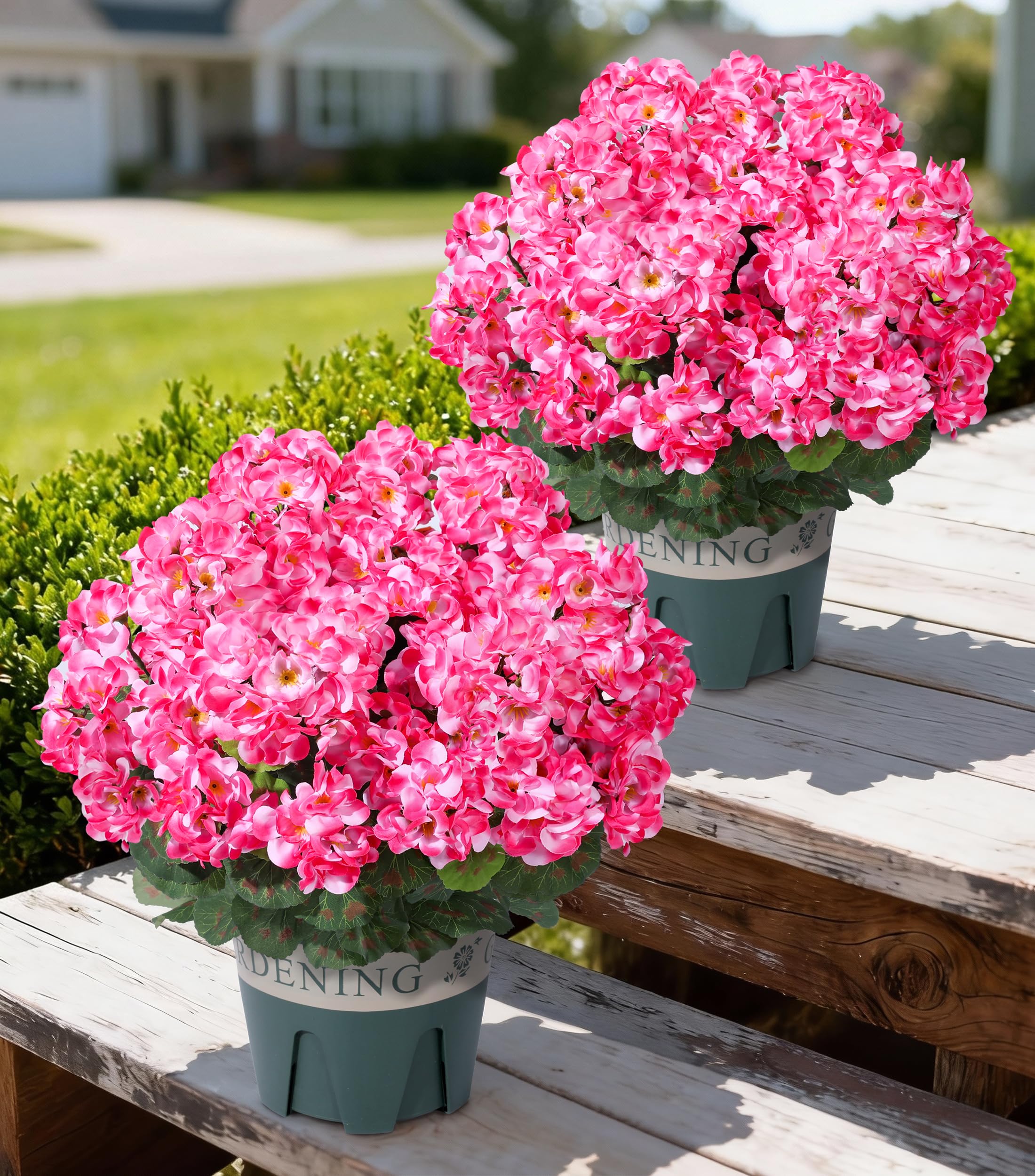 FancyPlus pink outdoor geranium topiary in pot enhances curb appeal with maintenance-free color