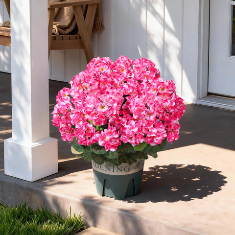 FancyPlus pink topiary geraniums near front door create a welcoming focal point