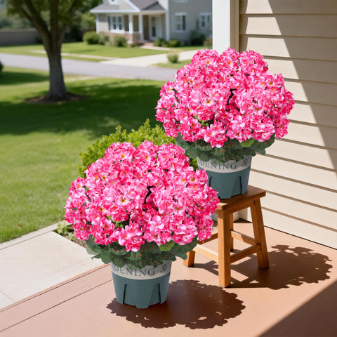 FancyPlus pink geraniums planter set brightens balconies and window sills