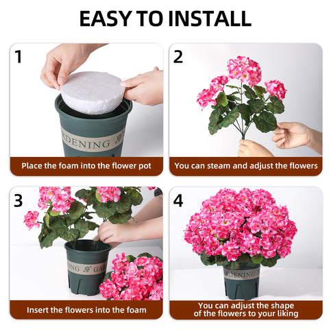 FancyPlus UV-resistant geraniums flourish in gardens and entryways