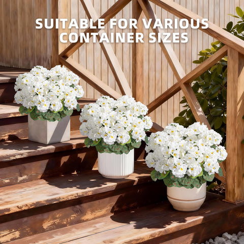FancyPlus geraniums outdoor planter closeup highlights vibrant petals and durable UV resistance.