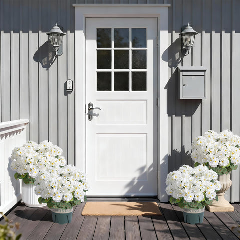 FancyPlus geraniums outdoor UV-resistant bloom in natural light boosts curb appeal.