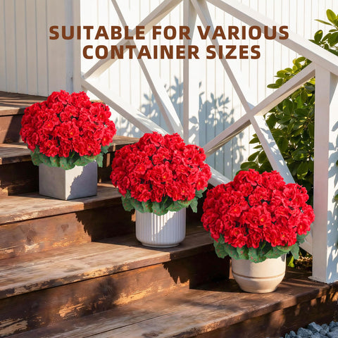 FancyPlus front-door display red, weather-resistant for lasting curb appeal.