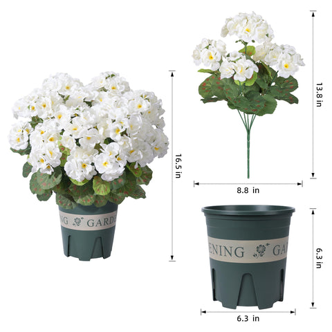 FancyPlus geraniums outdoor yard garden scene elevates curb appeal without upkeep.