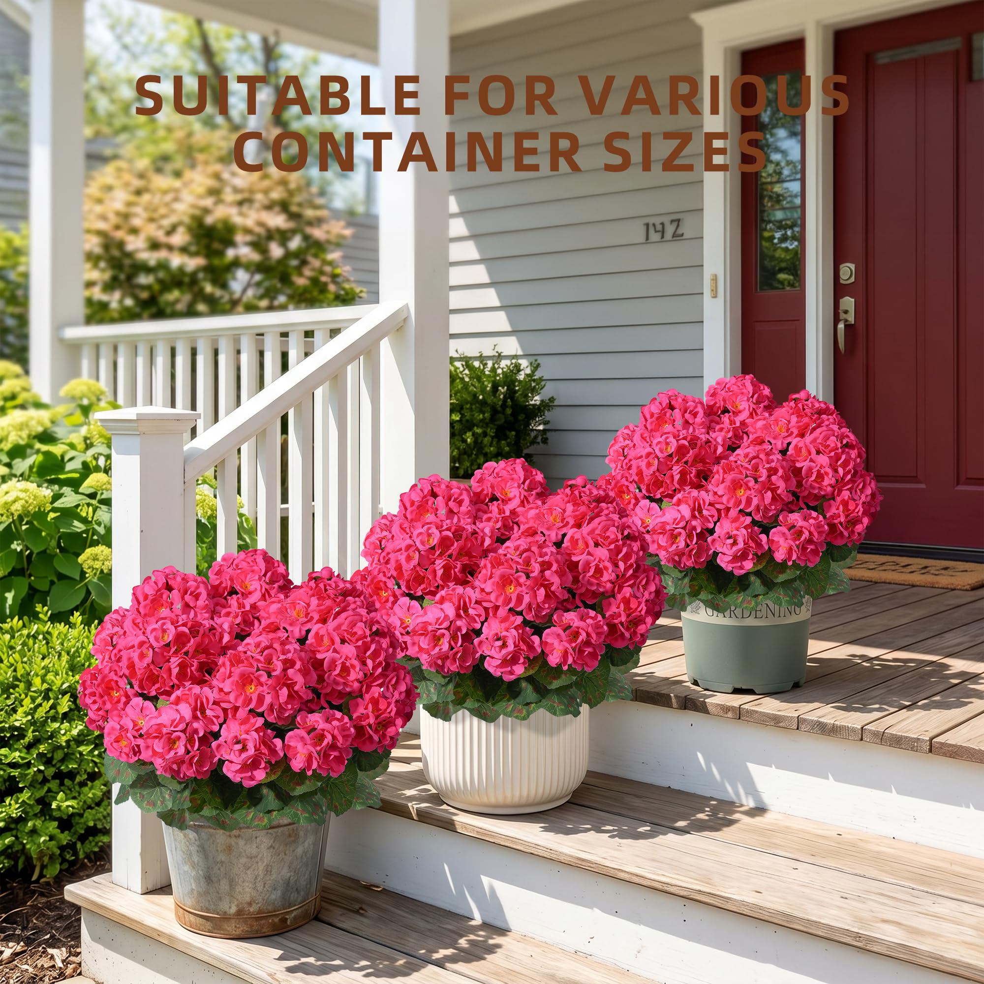 FancyPlus geraniums outdoors hotpink close-up detail highlights realism