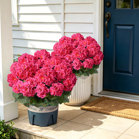 FancyPlus geraniums outdoors hotpink planter setup demonstrates ready display