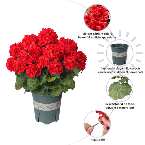 FancyPlus geraniums outdoors hotpink window sill accent indoors