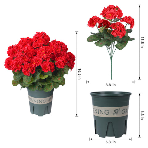 FancyPlus geraniums outdoors hotpink yard display brightening the space