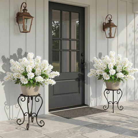 FancyPlus hyacinth stems are gift-ready for occasions.
