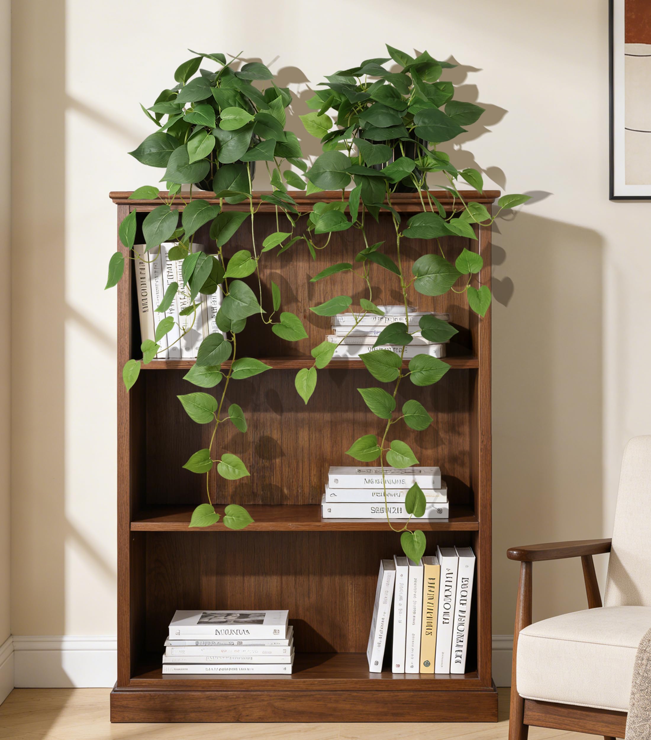FancyPlus kitchen and bathroom-friendly pothos brighten spaces with easy maintenance.