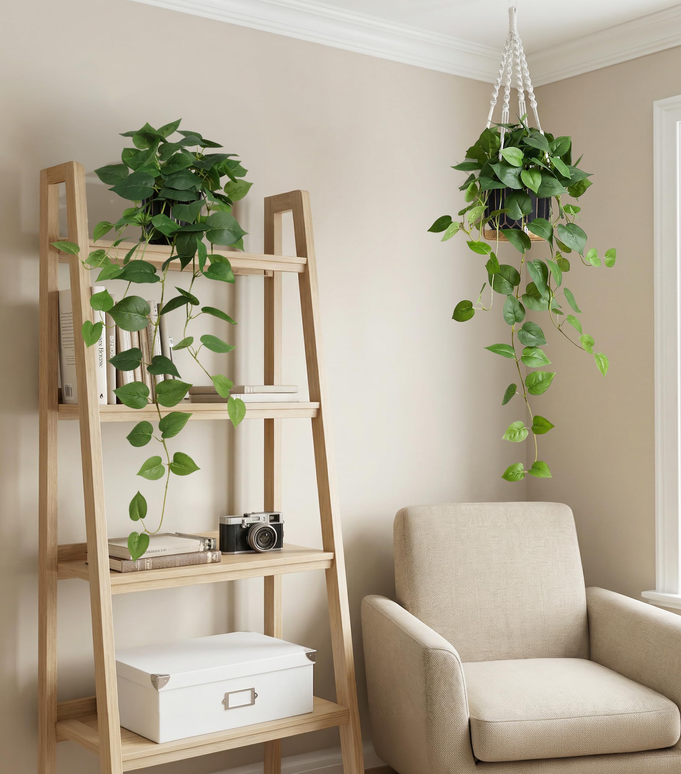 FancyPlus office-ready pothos greenery for desks and reception areas.