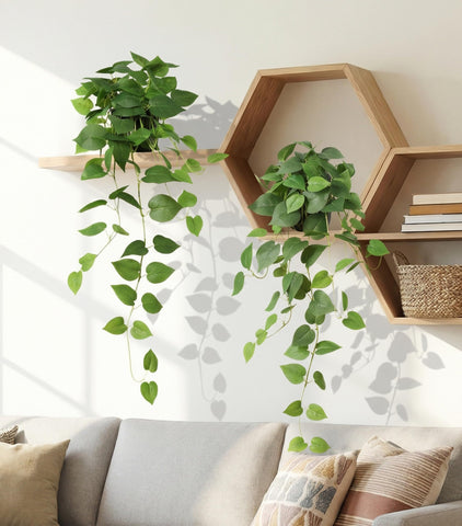 FancyPlus shelf decor pothos adds lush vitality to any surface.