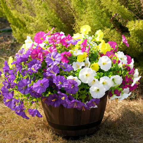 Fanfantoey 14-pack artificial flowers ready to refresh porches.