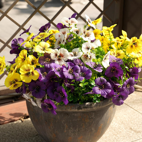 Fanfantoey front porch decor pansy arrangement on display
